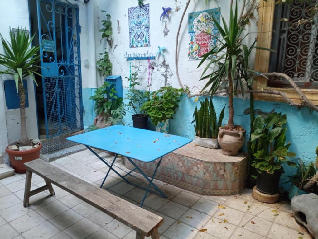 Kawasan patio atau luaran di Dar Warda