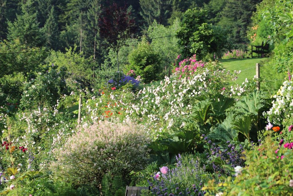 Zahrada ubytování The Moosbach Garden