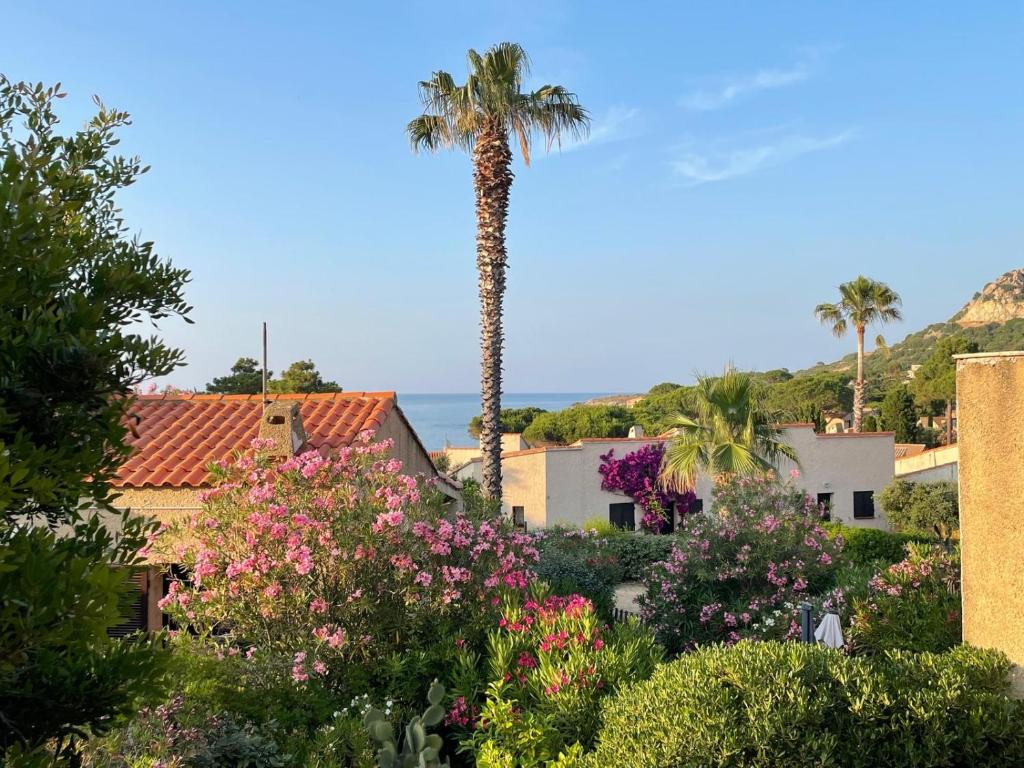 un palmier au milieu d'un jardin fleuri dans l'établissement Studio climatisé tout confort à 100 m de la plage, à Lumio