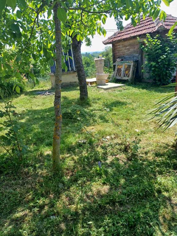 Zahrada ubytování Dragačevska kuća na bregu