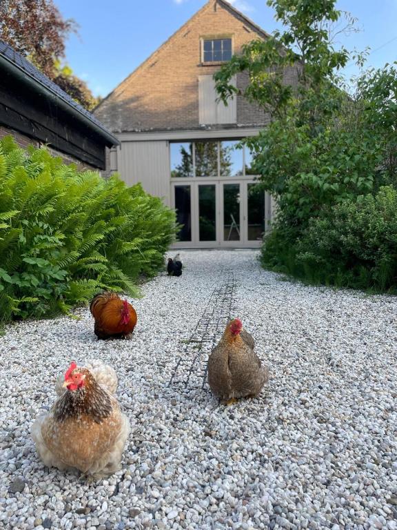 Een tuin van B&B Boudevino