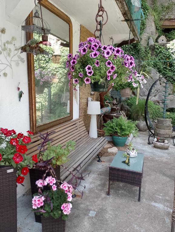 Vonkajšia záhrada v ubytovaní Studio Malou, cuisine, salle d'eau, terrasse amenagée