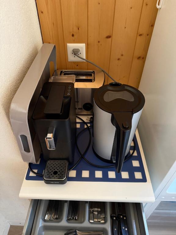 Foto sihtkohas Oberhofen am Thunersee asuva majutusasutuse Burgheim Siesta galeriist