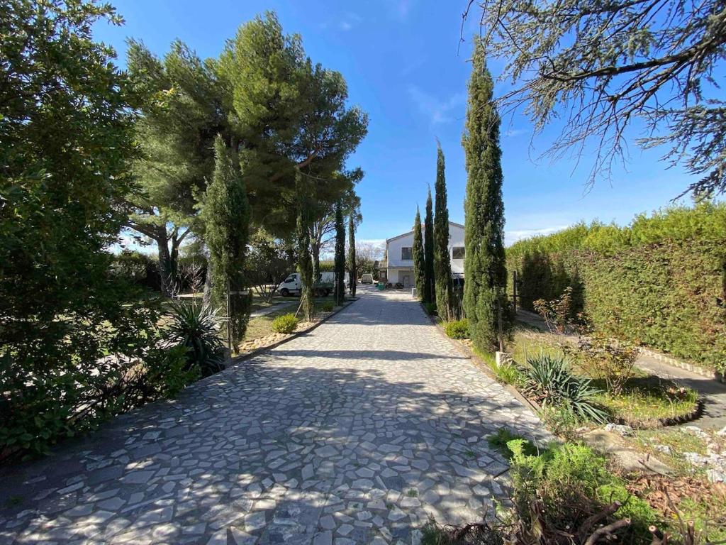 un chemin avec des arbres et un bâtiment en arrière-plan dans l'établissement A l'ombre des pins, à Courthézon
