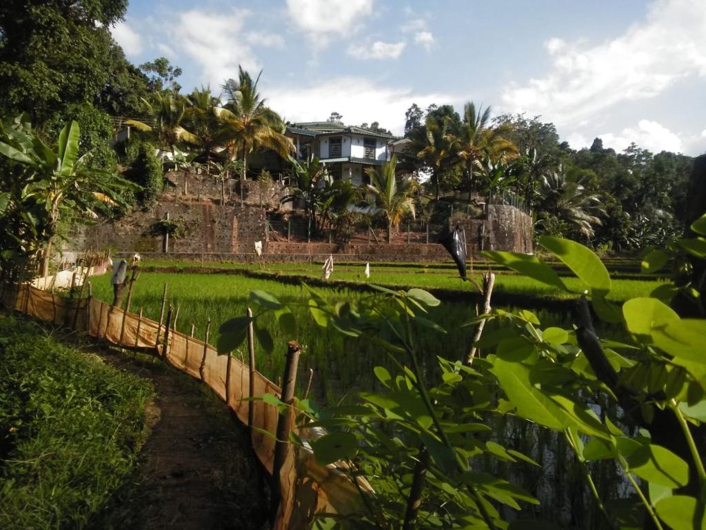 Zahrada ubytování Host In Wegiriya Kandy