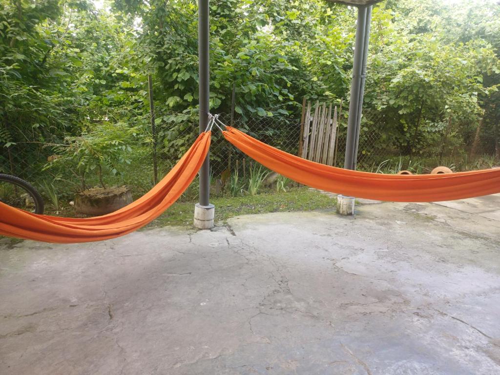 Fotografie z fotogalerie ubytování BaBa guesthouse v destinaci Martvili