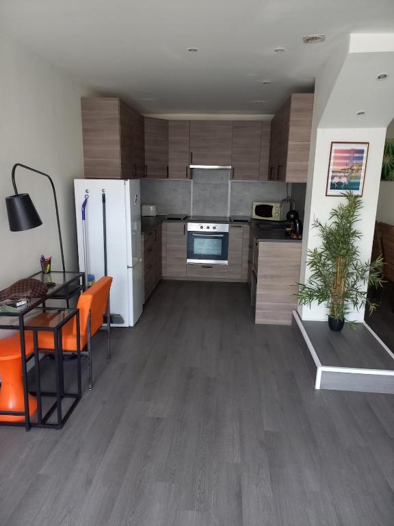 Il comprend une cuisine équipée d'un réfrigérateur et d'une table. dans l'établissement 70m2 appartement Central, au Grau-du-Roi