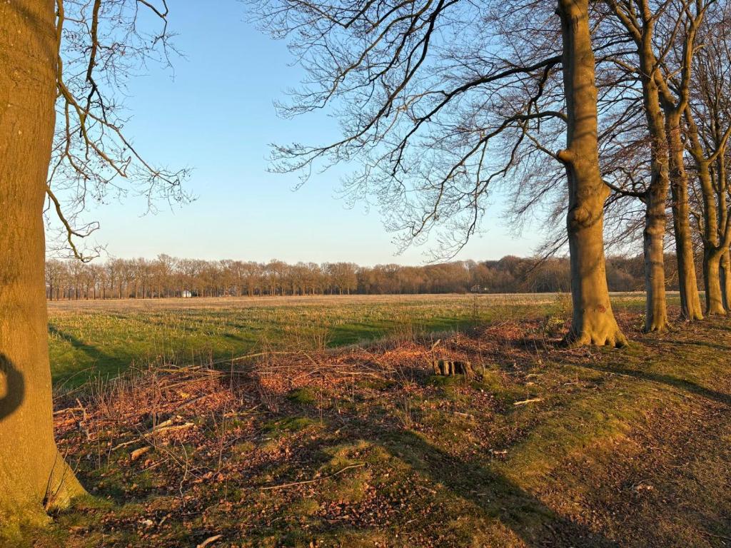 Fotografie z fotogalerie ubytování De Zwaluwenburg v destinaci 't Harde