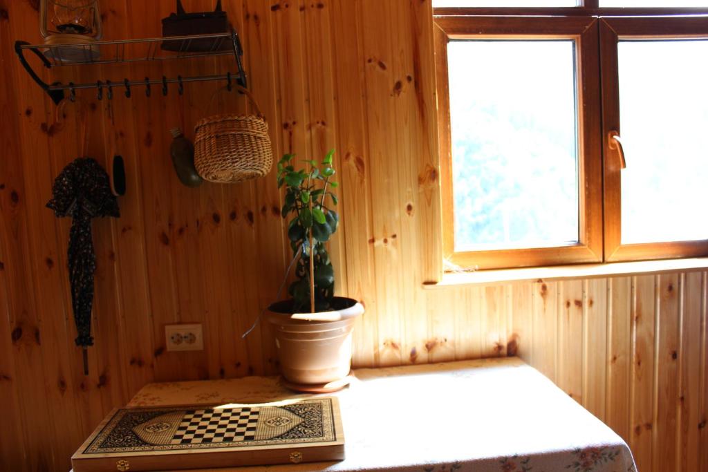 Fotografie z fotogalerie ubytování GuestHouse Ellie- Elisabeth v destinaci Adishi