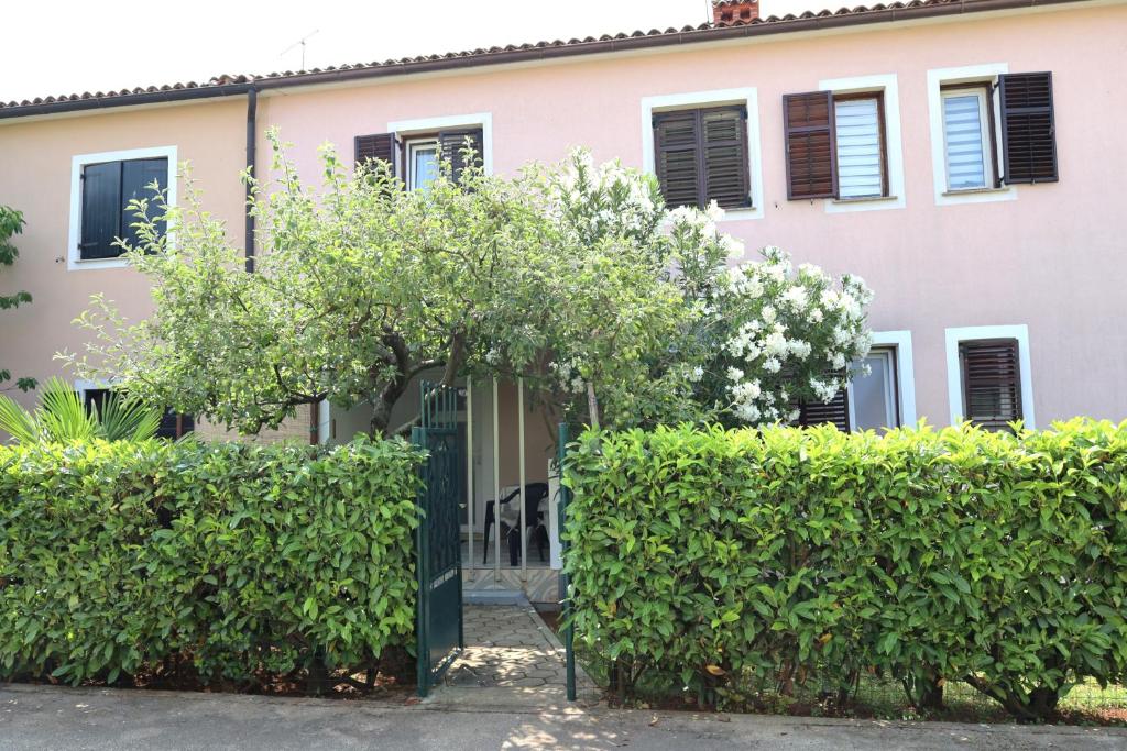 Fotografie z fotogalerie ubytování ANA house with apartments v destinaci Umag