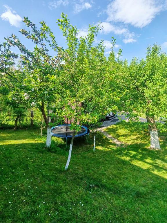 Zahrada ubytování Epic Glamping