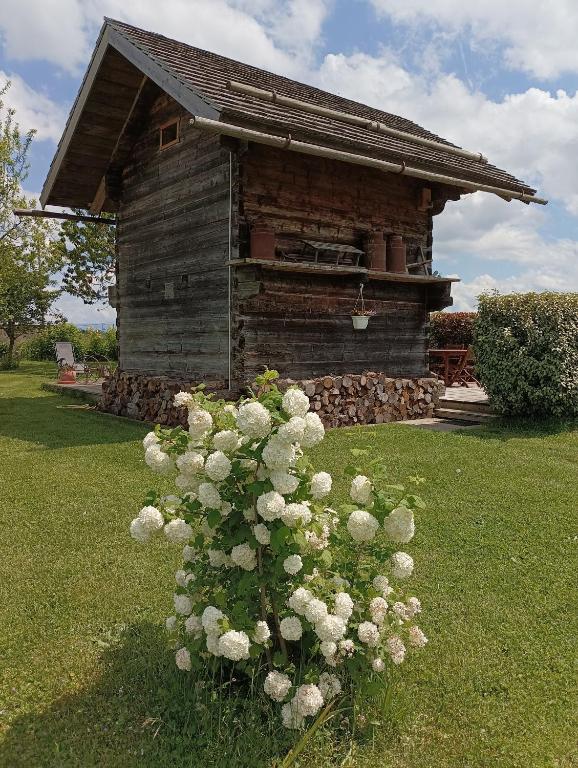Vonkajšia záhrada v ubytovaní Gîte / chalet meublé pour 2 personnes le 1780