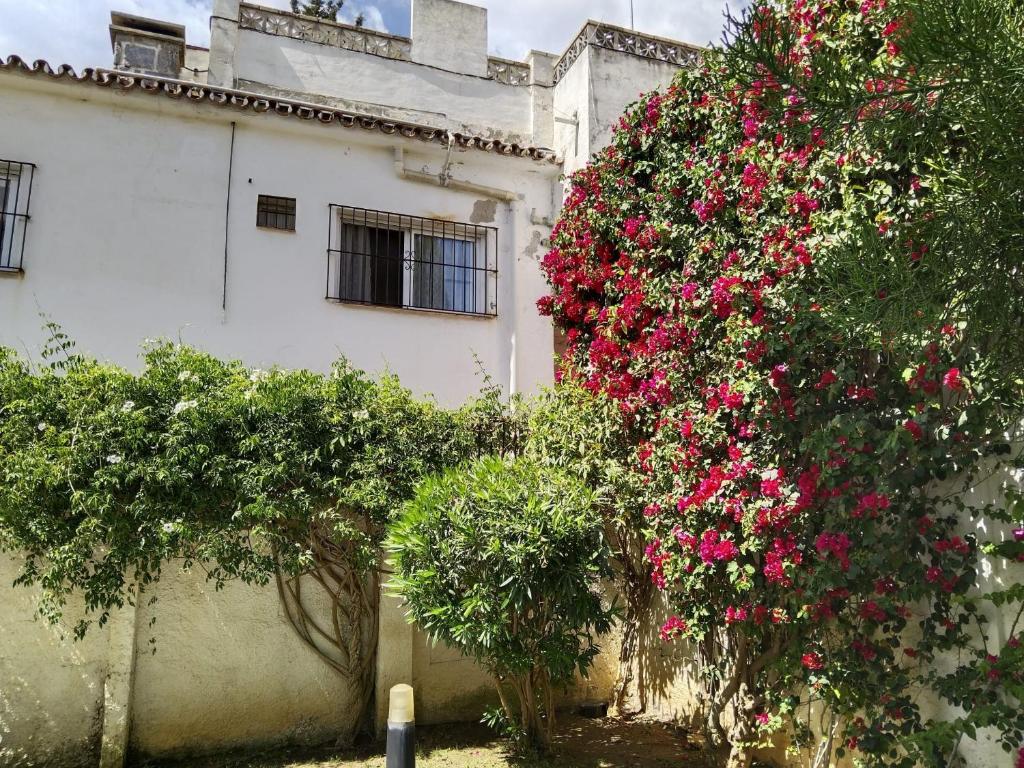 A garden outside Apartamento calle de la Cordera, 3