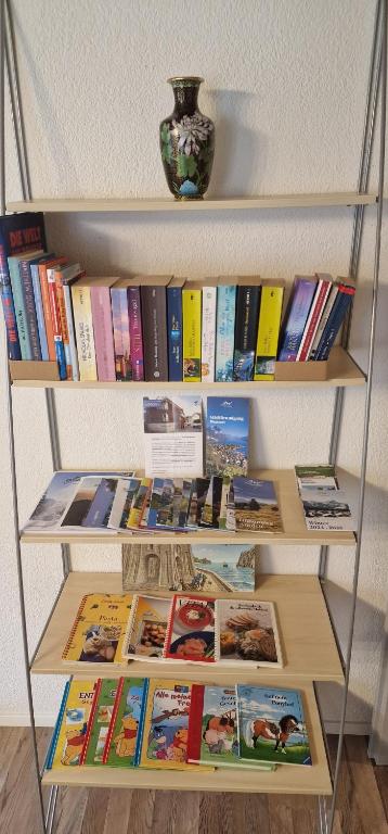 Knihovna v apartmánu