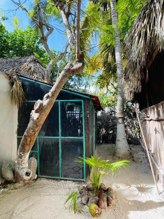 Fotografie z fotogalerie ubytování Casa Jade Ecobungalows Las coloradas v destinaci Yuluc