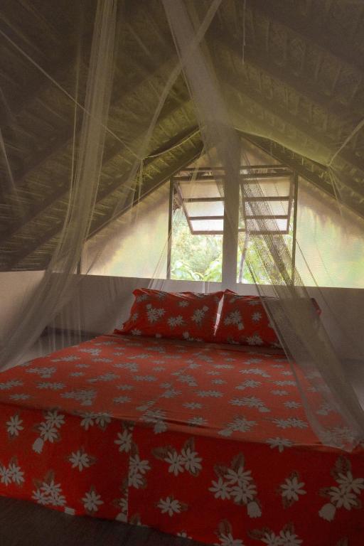 Fare Tearenui - photo 11 - Huahine, Polynésie