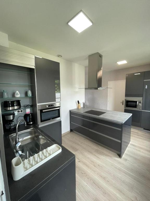 a large kitchen with a sink and a stove at Les Coquelicots in Saint-Romain-sur-Cher