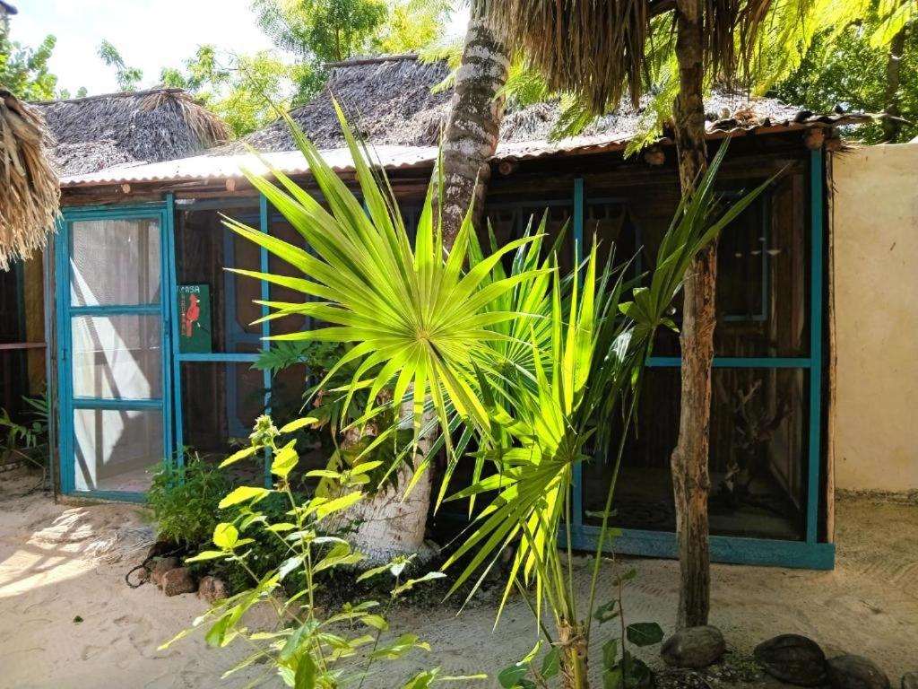 Zahrada ubytování Casa Jade Ecobungalows Las coloradas