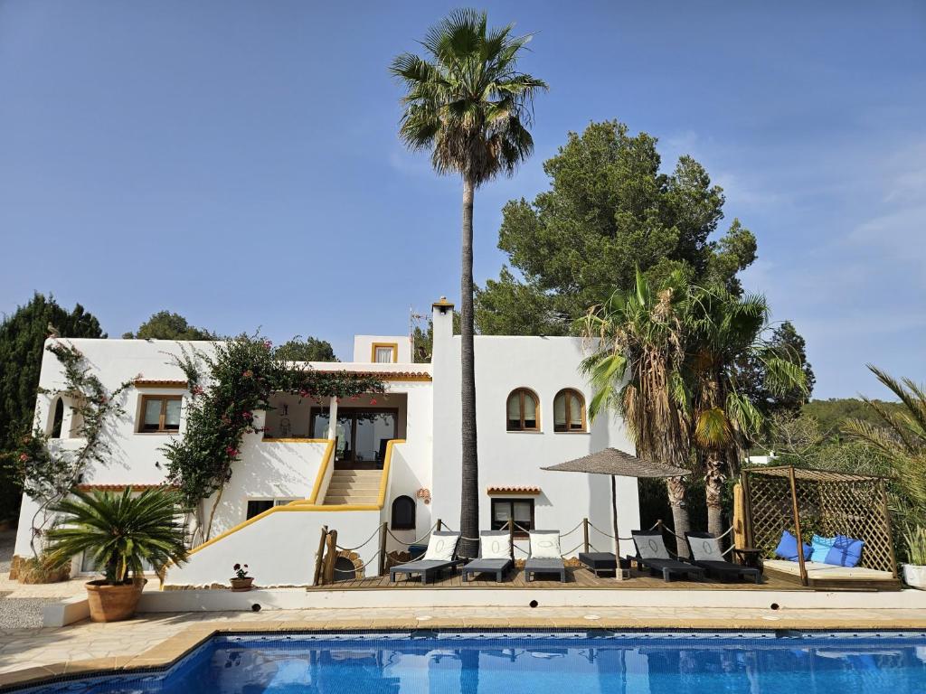 una casa con una palmera y una piscina en Ca n'Estrella, en Santa Gertrudis