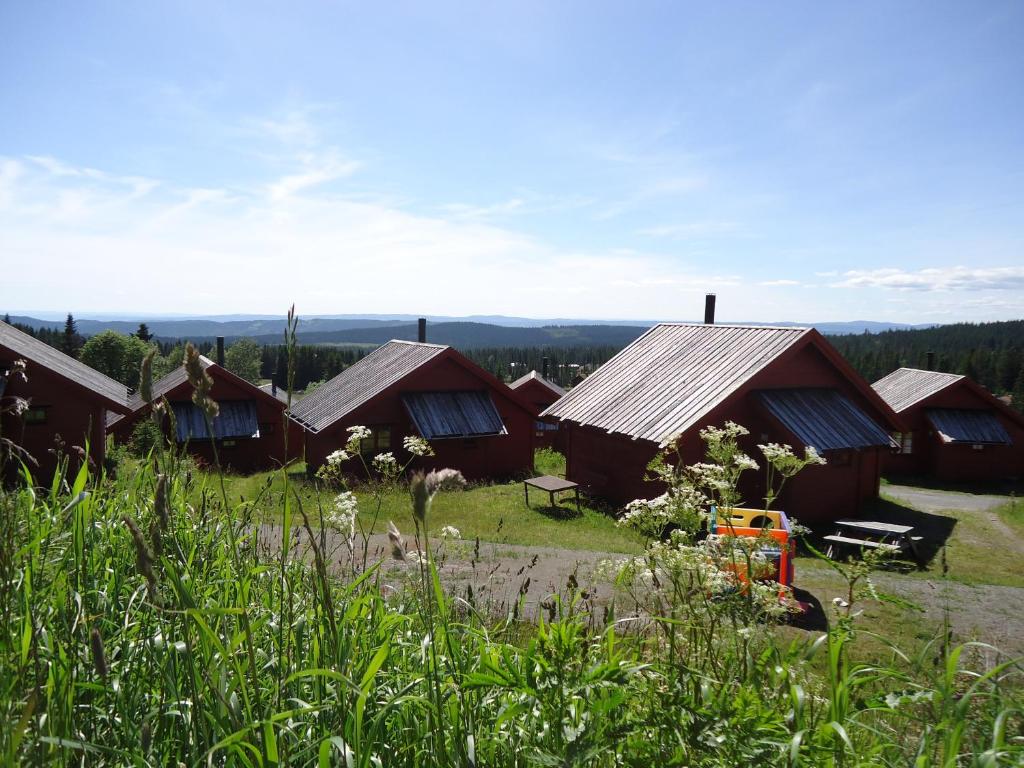 un groupe de cabanes au sommet d'une colline dans l'établissement Nordseter Hytter, à Nordseter