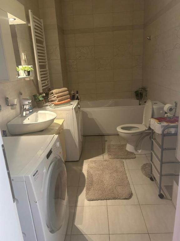 Koupelna v ubytování Wing apartman