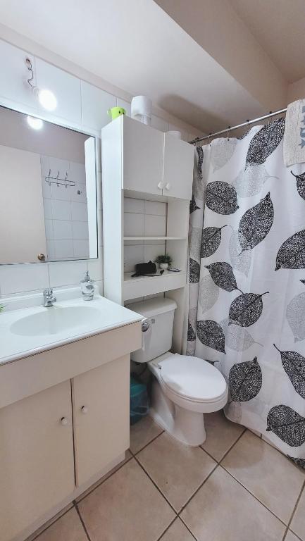 a bathroom with a toilet and a sink and a shower curtain at Lindo departamento Edificio Centro Mayor in Temuco