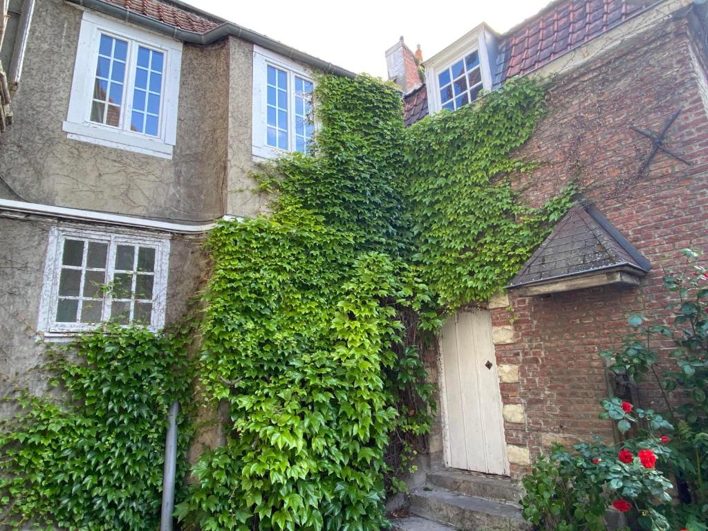 une maison recouverte de lierre avec une porte blanche dans l'établissement Maison, 6 chbres, 6 Sdb, 5wc Jardin, Calme, Centre, Wifi, à Douai