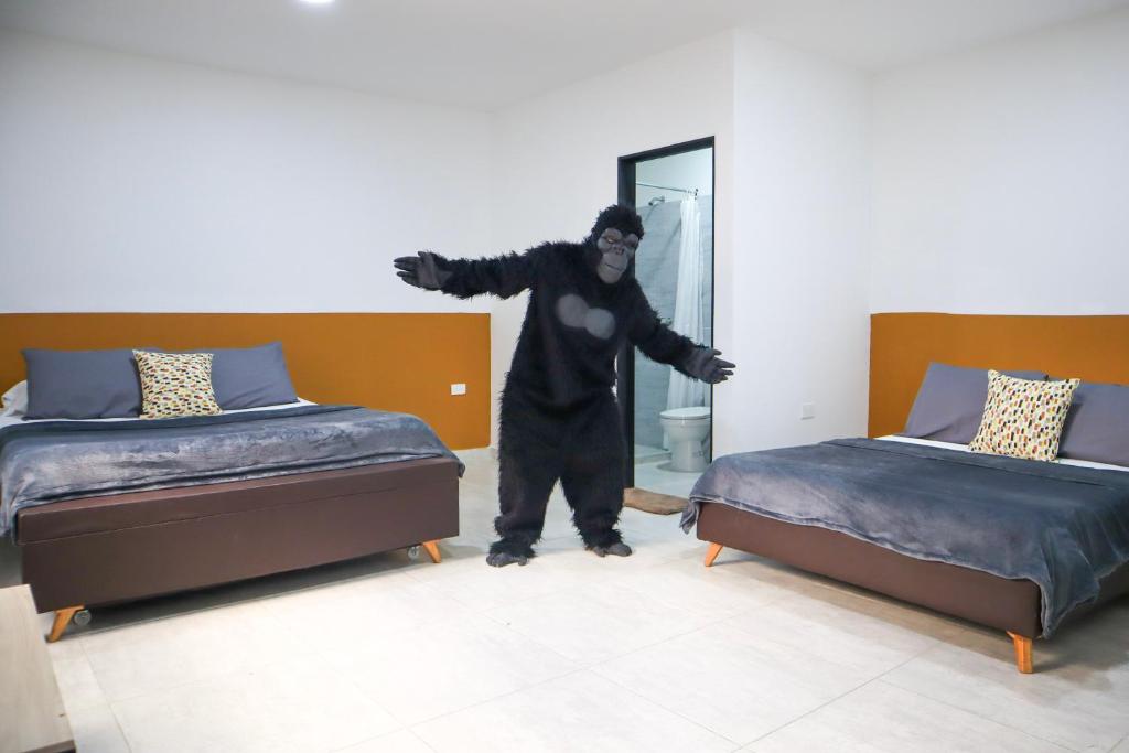 Postel nebo postele na pokoji v ubytování Trip Monkey Origen