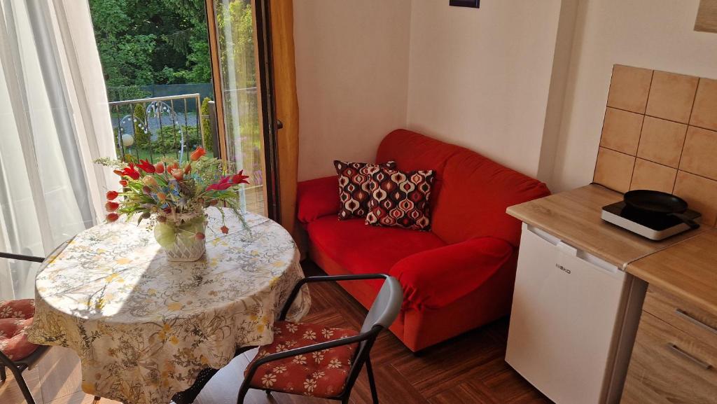 Kuchyňa alebo kuchynka v ubytovaní Apartamenty u Ani