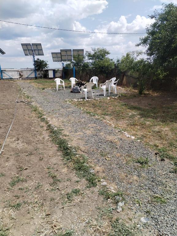 Zvířata v luxury tent nebo okolí