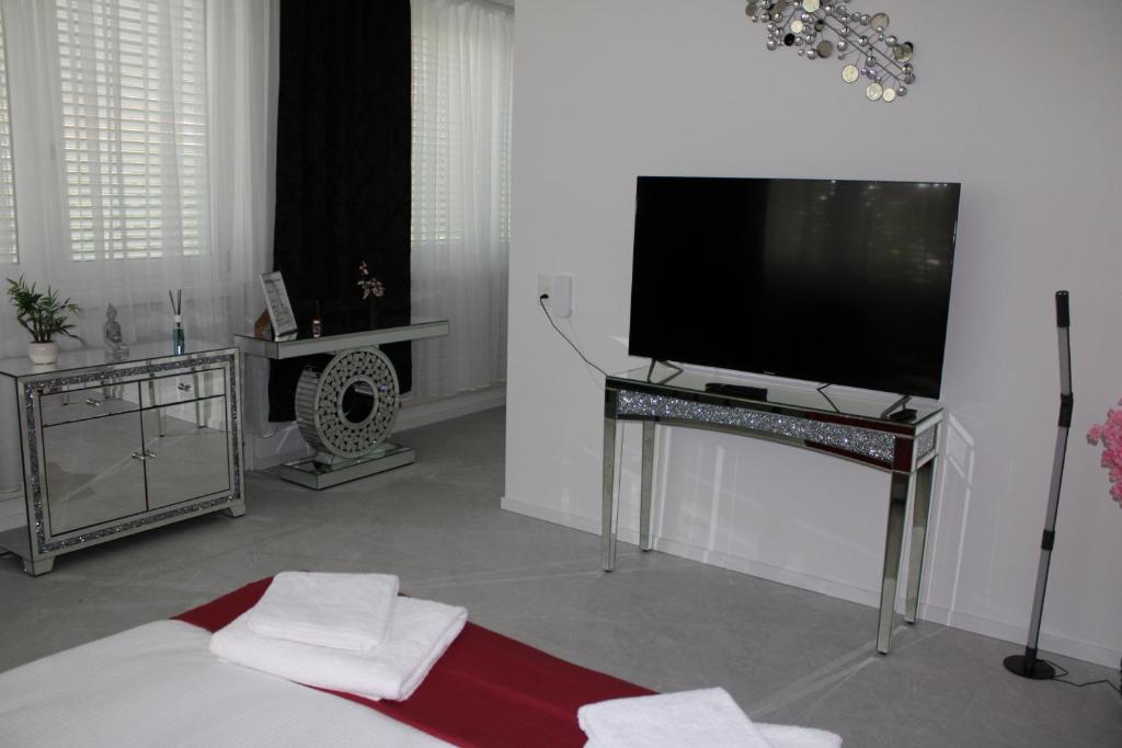 TV a/nebo společenská místnost v ubytování Résidence Appartment Gebenstorf
