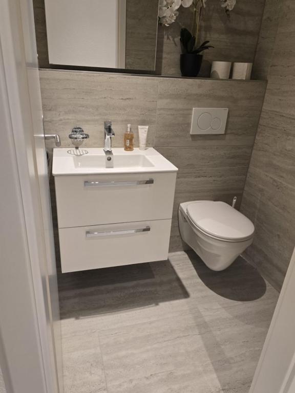 Koupelna v ubytování Résidence Appartment Gebenstorf