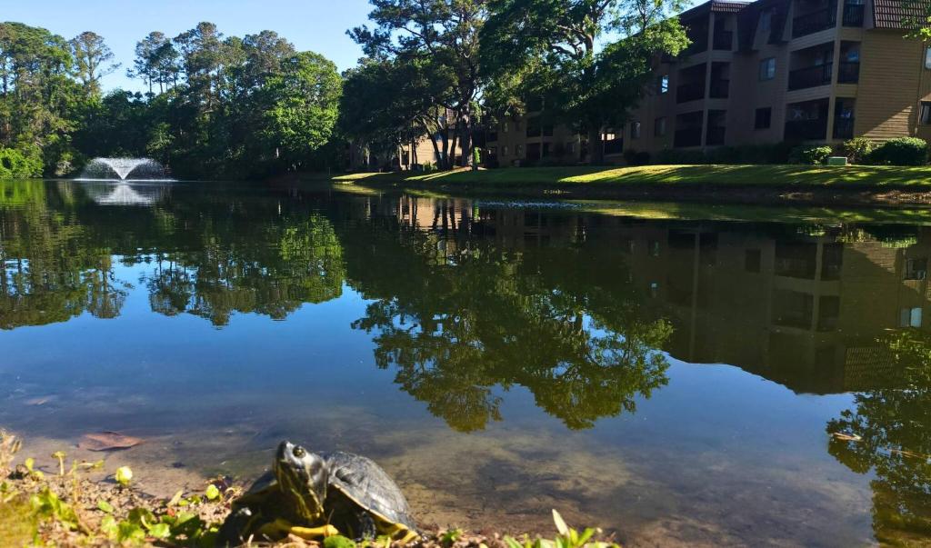 a body of water with a fountain in the middle at Dunes with Design in Hilton Head Island