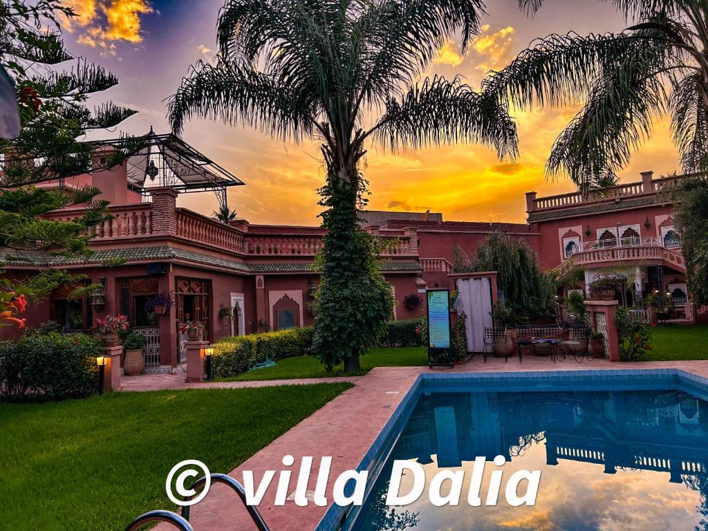 una casa con una palma e una piscina di Villa DALIA Route Ourika en Exclusivité a El Jemʼa Ghemat