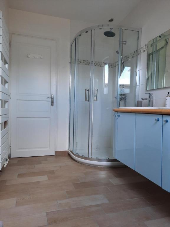 une salle de bain avec une douche avec des armoires bleues et un lavabo dans l'établissement La mancelle, au Mans
