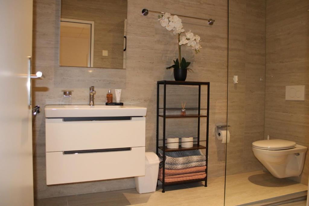 Koupelna v ubytování Résidence Appartment Gebenstorf