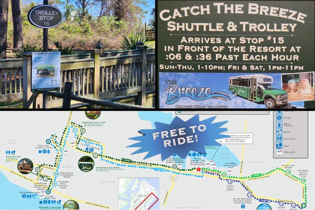 Foto dalla galleria di Turtles & Dolphins & Crabs, Oh My! a Hilton Head Island