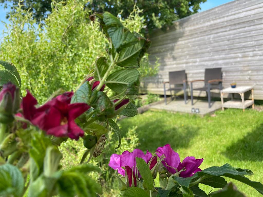 Zahrada ubytování Nygaard B&B