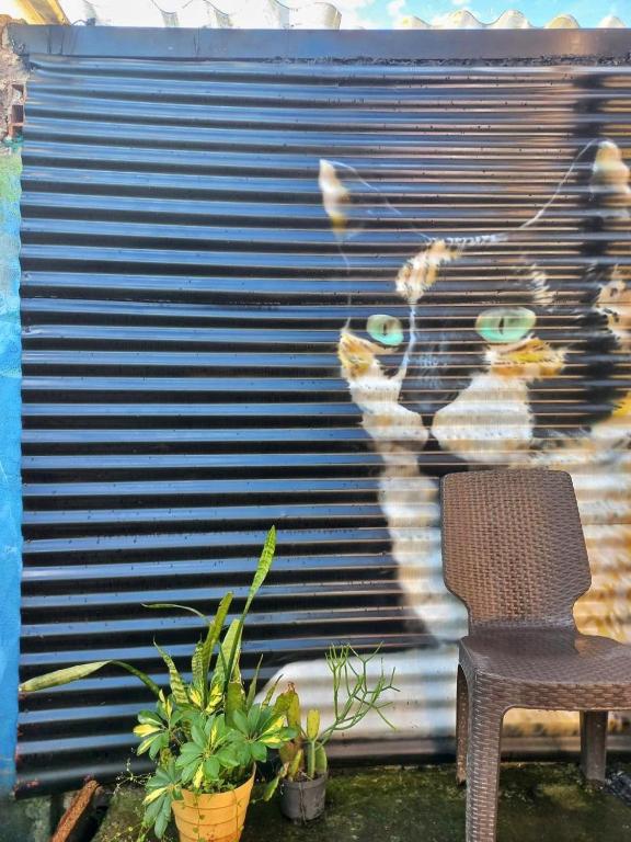 a wall with a painting of a cat on it at Kimaná Hostal in Santa Rosa de Cabal