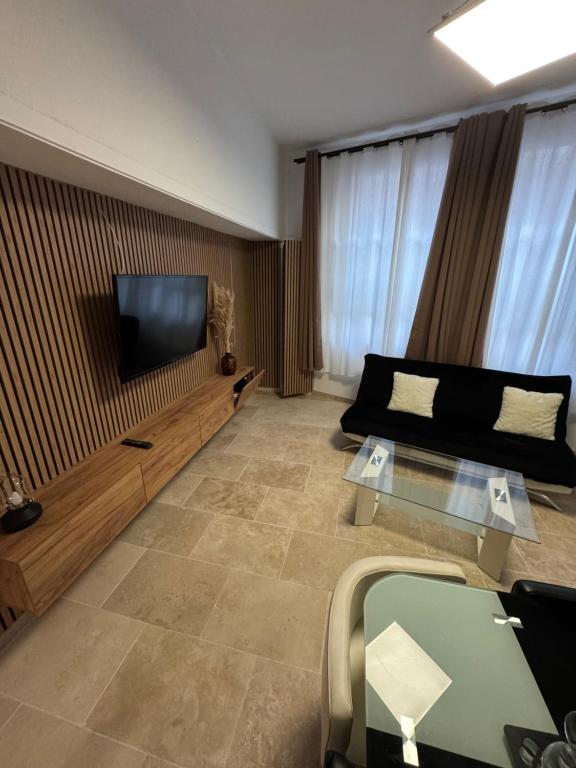 un salon avec un canapé et une télévision à écran plat dans l'établissement Magnifique 2 pièces en plein centre de Cannes à côté des plages, à Cannes