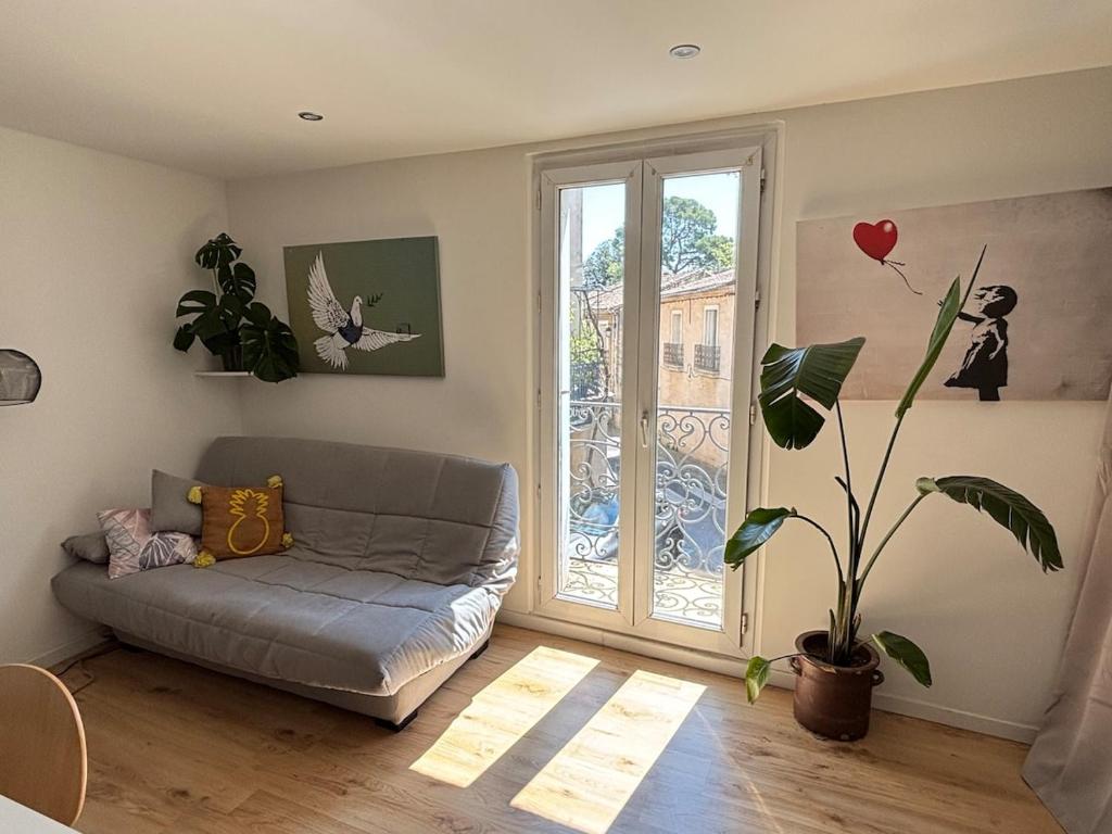 un salon avec un canapé et une fenêtre dans l'établissement Appartement familial centre Saint-Georges d'Orques, à Saint-Georges-dʼOrques