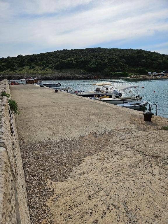 a dock with boats docked in the water at Apartment JB2 Grmovine in Risika
