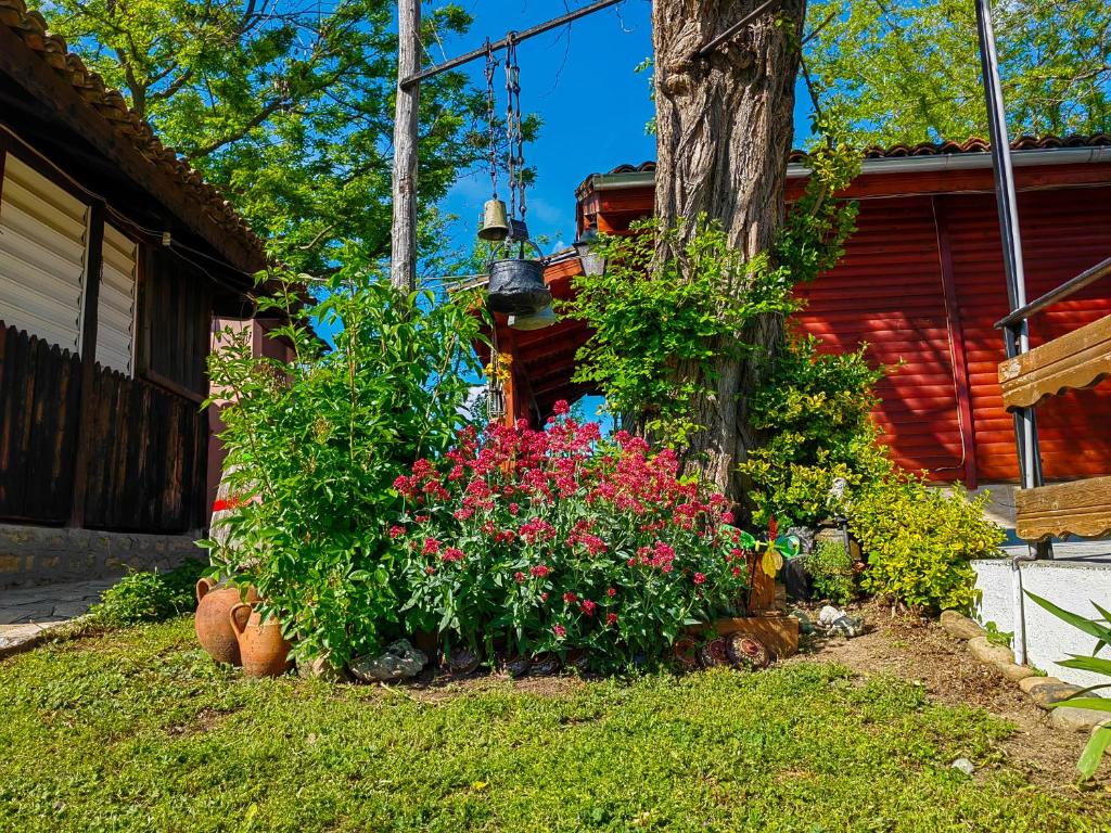 Zahrada ubytování Guest House Kosharite