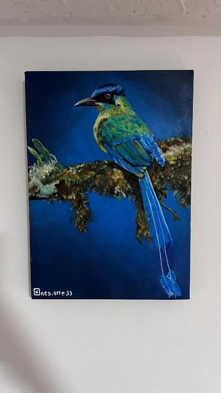 Apartaestudio Barranquero Centro