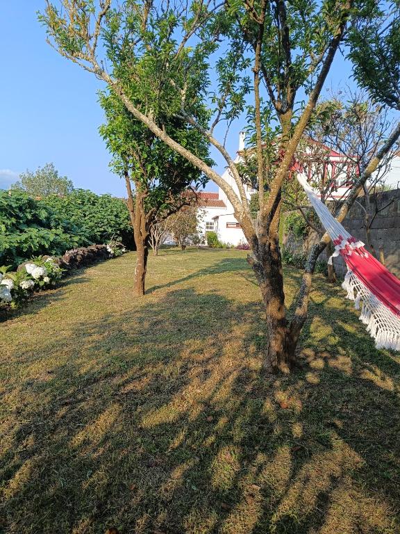 a kite is hanging from a tree in a yard at Casa dos Narizes in Angra do Heroísmo
