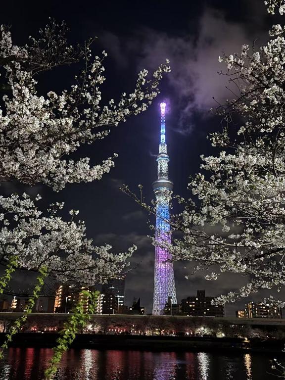 Newly Built Private Tokyo Villa Beauty House near Asakusa & Skytree