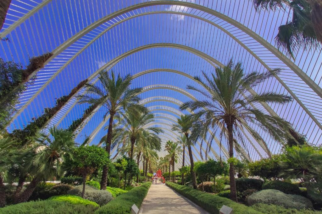 APARTAMENTOS CIUDAD DE LAS ARTES Y LAS CIENCIAS - Resim 36