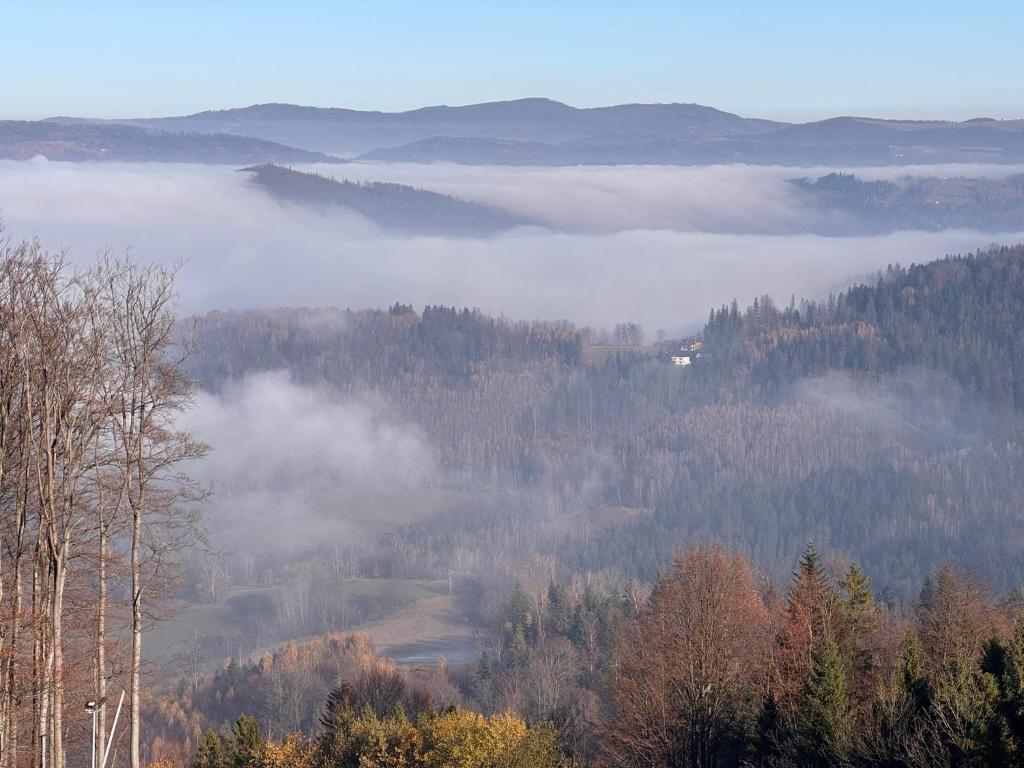Príroda v okolí apartmánu