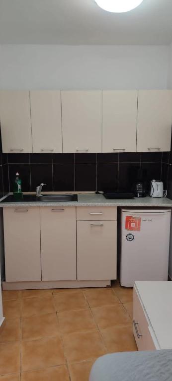 Kuchyň nebo kuchyňský kout v ubytování Complex Adela Transfăgărășan