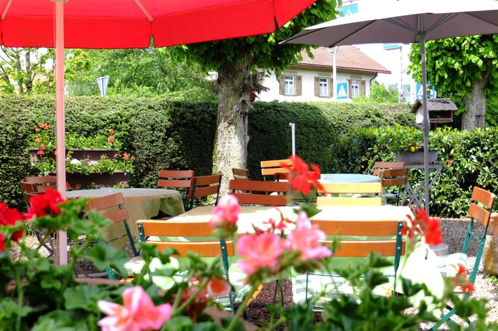 Zahrada ubytování Hotel Löwen